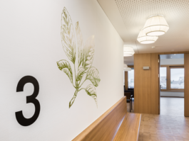 TEZORO graphic design