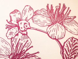 TEZORO graphic design