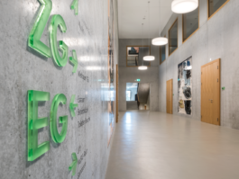 TEZORO graphic design