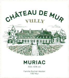 TEZORO graphic design