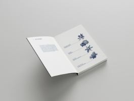 TEZORO graphic design