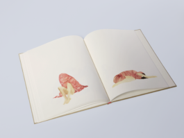 TEZORO graphic design