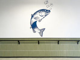 TEZORO graphic design